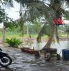 Bán đất tặng nhà mặt tiền đường nhựa 6ha. Ấp 7 sông trầu Trảng Bom chỉ 29tỷ