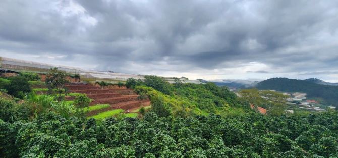 Xuân Thọ  - Đà Lạt .Dt : 1004m2 đất nn quy hoạch thổ cư. Giá: 3,5 tỷ - 1