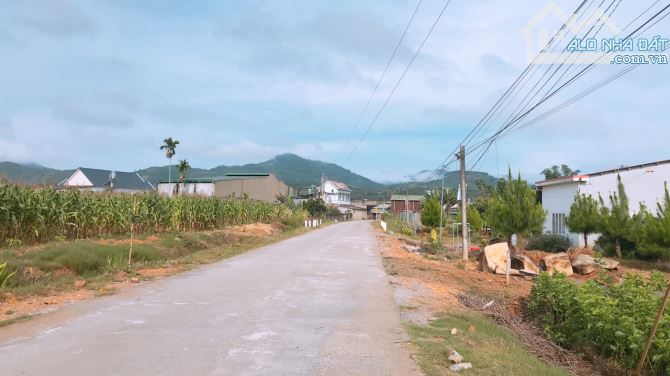 4 sào đồi thông Bảo Lộc, sẵn ao, view thoáng toàn cảnh. - 2