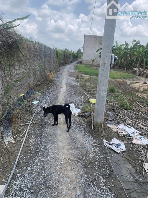 Bán nhà sổ hồng riêng, 700tr; chợ Rạch Kiến, Tân Trạch; 5x20m - 4