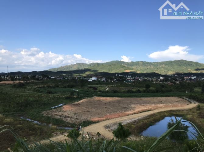 4 sào đồi thông Bảo Lộc, sẵn ao, view thoáng toàn cảnh. - 3