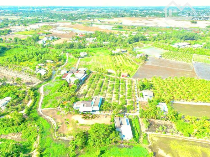 Hàng Thơm, 185m2 đất thổ 5x 37m đường ô tô KDC Tân Hòa, 495 tr - 7