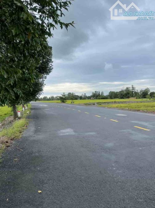 Bán đất Ruộng 2 mặt Tiền lộ Bốn Tổng  27670m2  Vị trí : Ấp đông hiển, xã đông thuận Tp Ct - 5