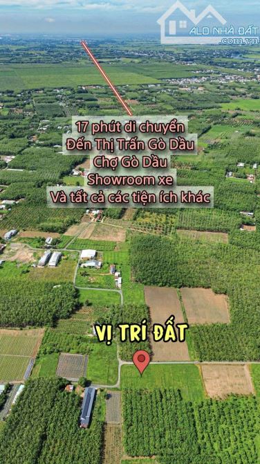✨ 5x20m (FULL ONT), gần mọi tiện ích, cách Nhựa Ấp Rộc chỉ 100 mét, nhà dân ở kín - 399Tr - 15