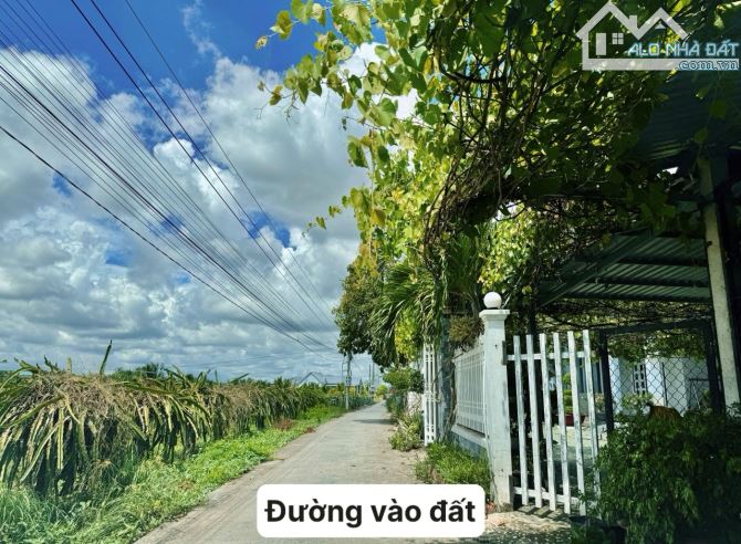 ✨ 5 x 24m (FULL Thổ Cư), đường Bê Tông, Ô tô tới đất, gần xịttt Tp HCM - MÀ GIÁ: chỉ 395Tr - 3