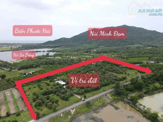 Long mỹ, Phước Hải, bán 3mẫu8( 38000m2), có 270 m mặt tiền nhựa, phủ hồng, gần biển - 4