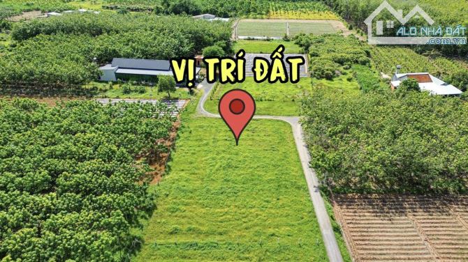 ✨ 5x20m (FULL ONT), gần mọi tiện ích, cách Nhựa Ấp Rộc chỉ 100 mét, nhà dân ở kín - 399Tr - 4