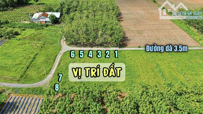 ✨ 5x20m (FULL ONT), gần mọi tiện ích, cách Nhựa Ấp Rộc chỉ 100 mét, nhà dân ở kín - 399Tr - 7