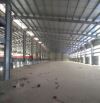 Kho xưởng trống 1300m2 cần cho thuê gấp giá cạnh trang đường Tây Lân, Q. Bình Tân.