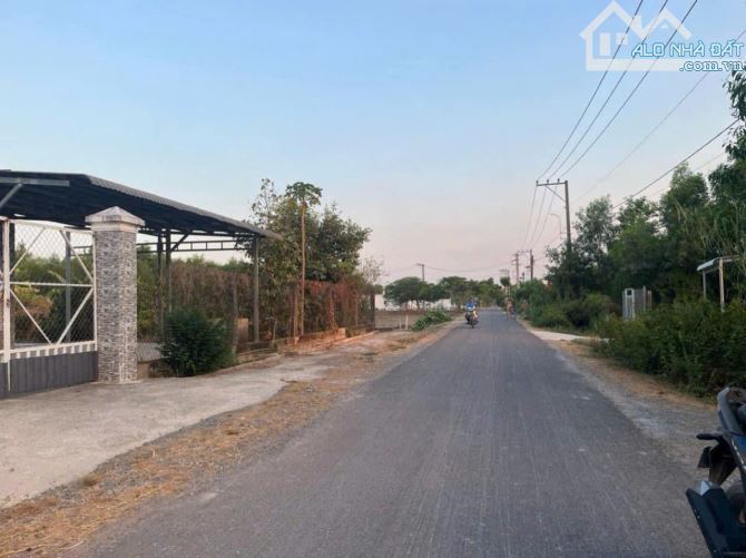 BÁN ĐẤT PHƯỚC HIỆP CỦ CHI: 7X 47(376M2) GIÁ ; 597 TRIỆU - 2