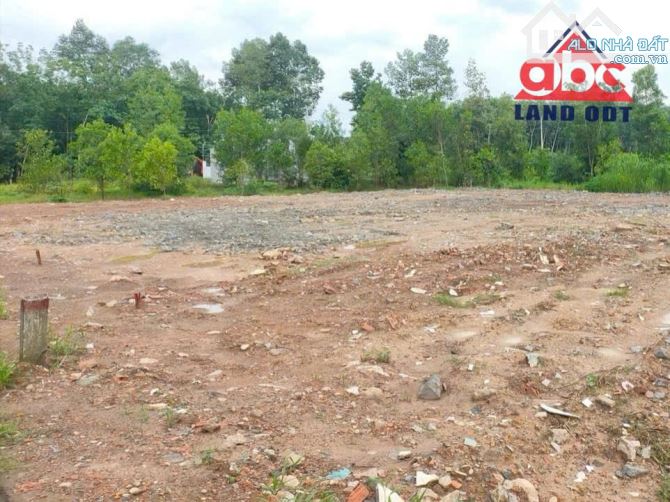Đất Mặt Tiền Đường Tân Thịnh Xd.61, TB. 6000m2. gần KCN GIANG ĐIỀN, chỉ 1,6tr/m2. - 2