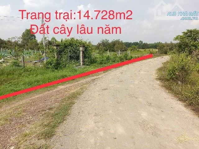 Bán trang trại 14.728m2 xã Thái Mỹ - H.Củ Chi- Tp Hồ Chí Minh giá 14,5 tỷ - 4