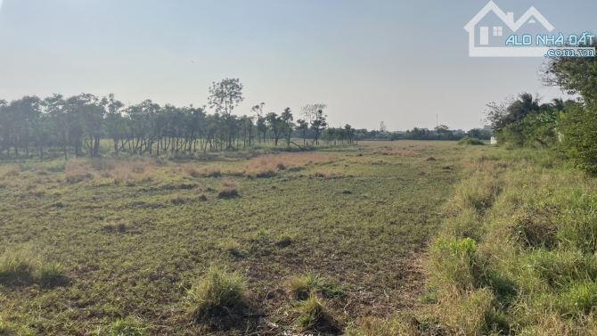 2 công đất vườn có tới 500m2 thổ cư tại P.Long Hòa, TP Gò Công, Tiền Giang