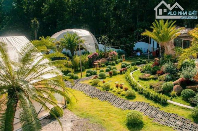 3262m2 glamping ven núi minh đạm long mỹ đang cho thuê kd