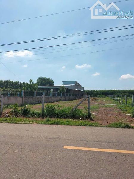 ĐẤT ĐƯỜNG NGUYỄN HUỆ GẦN QUỐC LỘ 55, CÁCH KCN ĐẤT ĐỎ 1KM 699M NGANG 10X70 THỔ CƯ 100 - 1