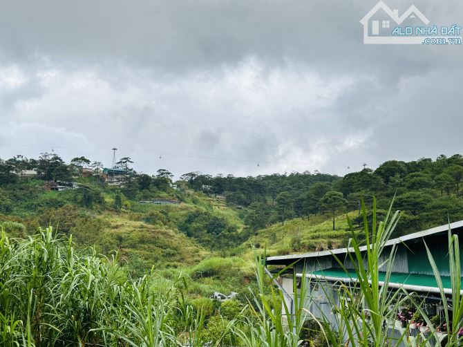 Bán đất mặt tiền Triệu Việt Vương P3 Đà Lạt view đẹp. cung đường xd khách sạn - 1