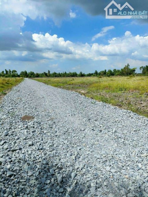 2575m2 Đất vườn giá 470tr/1000m2 Tân thành Thủ Thừa Long An giá ngộp - 2