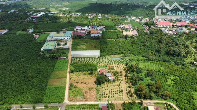 1214m2 đất vườn đẹp - Nở Hậu lớn, ngay khu dân cư đông đúc giá 780 triệu bán 7 ngày - 2