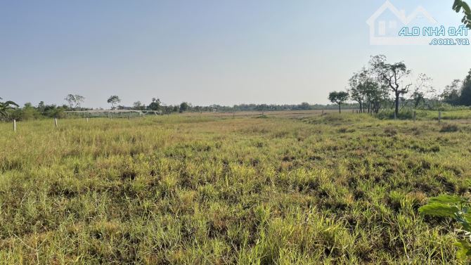 2 công đất vườn có tới 500m2 thổ cư tại P.Long Hòa, TP Gò Công, Tiền Giang - 4