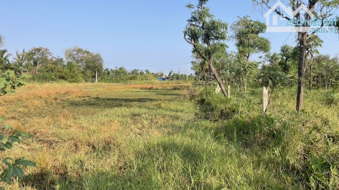 2 công đất vườn có tới 500m2 thổ cư tại P.Long Hòa, TP Gò Công, Tiền Giang - 5