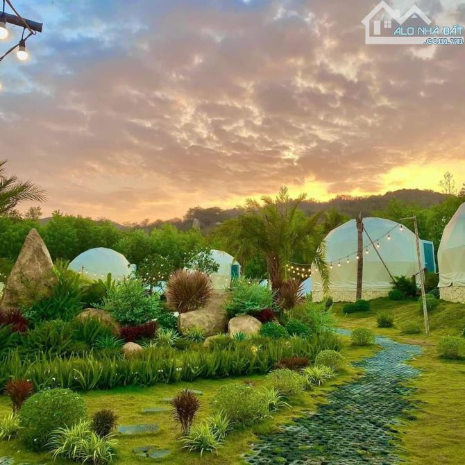 3262m2 glamping ven núi minh đạm long mỹ đang cho thuê kd - 7