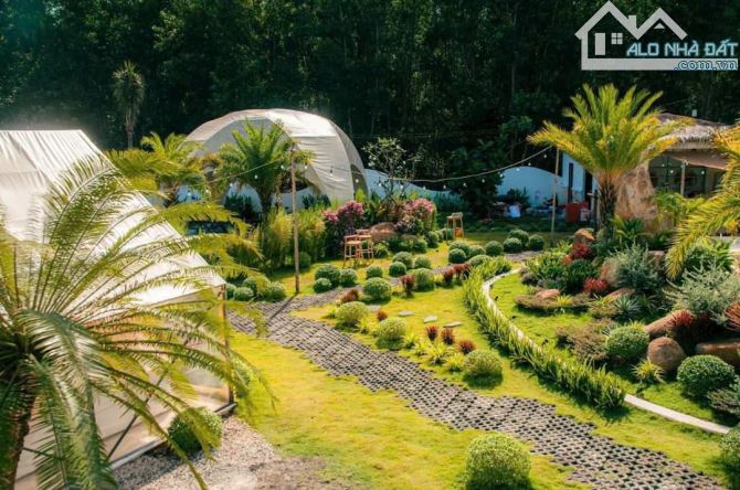 3262m2 glamping ven núi minh đạm long mỹ đang cho thuê kd - 8