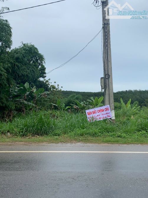 bán đất  (15x40m)mặt đường ql14 ngọc hồi kontum - 5