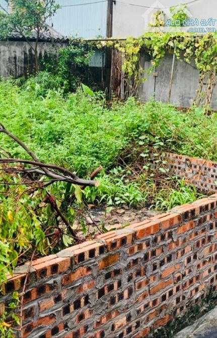 Bán Gấp Đất Bến Trung, Bắc Hồng , Đông Anh 50m