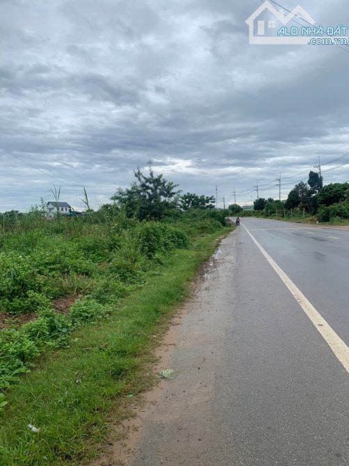 bán đất  (15x40m)mặt đường ql14 ngọc hồi kontum - 6