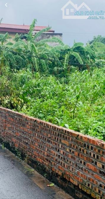 Bán Gấp Đất Bến Trung, Bắc Hồng , Đông Anh 50m - 2