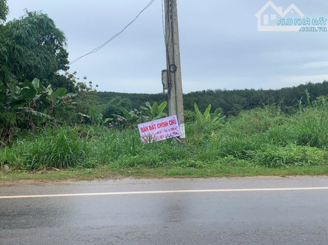 bán đất  (15x40m)mặt đường ql14 ngọc hồi kontum - 8