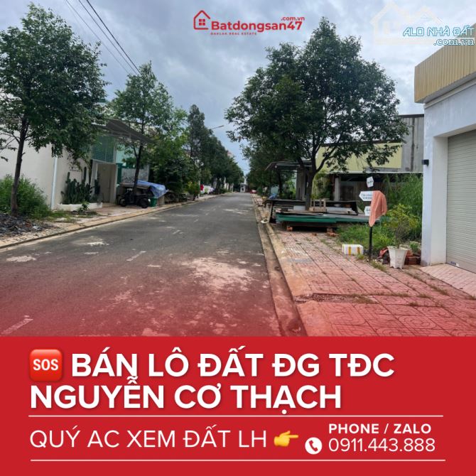 💥LÔ ĐẤT ĐẤU GIÁ TÁI ĐỊNH CƯ NGUYỄN CƠ THẠCH - P. THÀNH NHẤT - 3