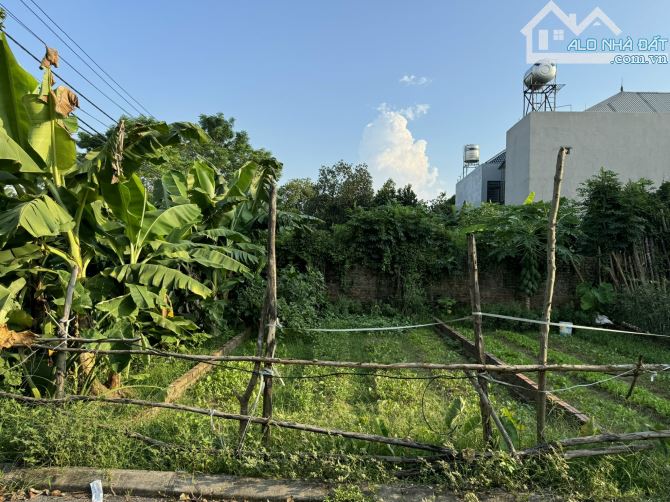 Siêu phẩm hơn tỷ xíu thôi có lo đất trục chính thông thường rộng thênh thang lh e nhé - 4