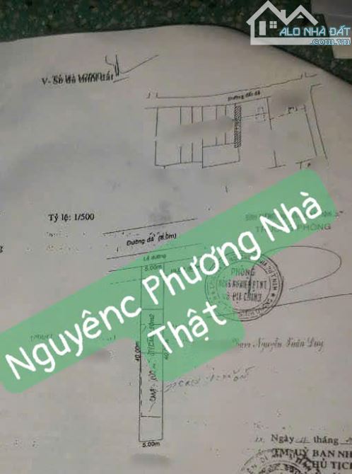 Nhà MẶT TIỀN 5X40,Thổ 100m2,2 tầng Đông Thành Mỹ Phước Tân Vạn,Dĩ An,Bình Dương - 4