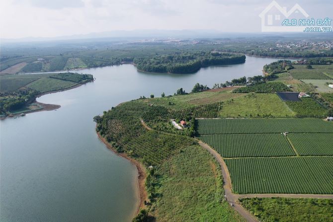 Đất hồ Cánh Bướm-Bảo Lộc, đất ở đô thị, đối diện Olala Glamping, homestay du lịch, Cao tốc - 4