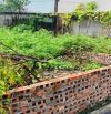 Bán Gấp Đất Bến Trung, Bắc Hồng , Đông Anh 50m