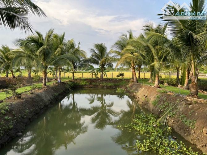 BÁN NHÀ VƯỜN VỚI AO CÁ VÀ VƯỜN TRÁI CÂY TUYỆT ĐẸP, VIEW RUỘNG LÚA, CÁCH BIỂN CHỈ 10 PHÚT - 1