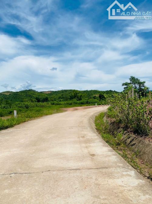 Bán lô đất View Sông - Khánh Phú - Khánh Vĩnh . Đường thông ô tô chỉ 550tr - 1