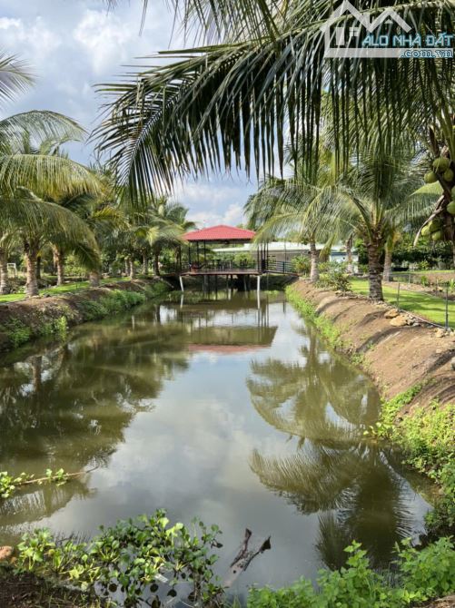 BÁN NHÀ VƯỜN VỚI AO CÁ VÀ VƯỜN TRÁI CÂY TUYỆT ĐẸP, VIEW RUỘNG LÚA, CÁCH BIỂN CHỈ 10 PHÚT - 12