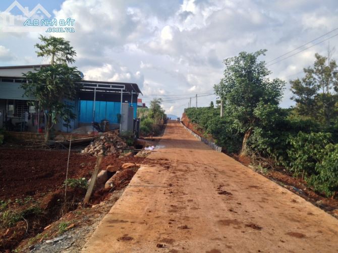 CHÍNH CHỦ BÁN 2 MẢNH ĐẤT ĐẸP - GẦN SÂN BAY LIÊN KHƯƠNG -  HUYỆN ĐỨC TRỌNG, TỈNH LÂM ĐỒNG - 2