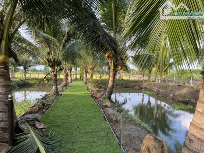 BÁN NHÀ VƯỜN VỚI AO CÁ VÀ VƯỜN TRÁI CÂY TUYỆT ĐẸP, VIEW RUỘNG LÚA, CÁCH BIỂN CHỈ 10 PHÚT - 2