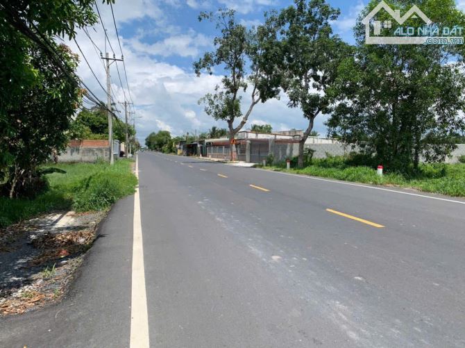 ĐẤTPHƯỚC THẠCH GÒ DẦU TÂY NINH:8X30(240M2) GIÁ :485TRIỆU - 2