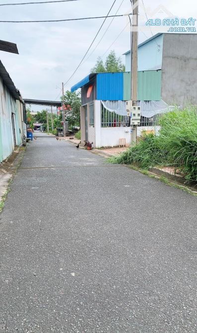Đất mặt tiền Tam Phước - Thổ cư 100% gần Cao tốc Biên Hòa Vũng tàu và các tiện ích khác - 2