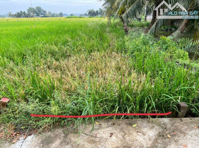 3×26 ( Luc ). Được lên thổ giá 195 triệu.Bình trinh_ Tân trụ Long An ( cặp nhựa đang mở - 2