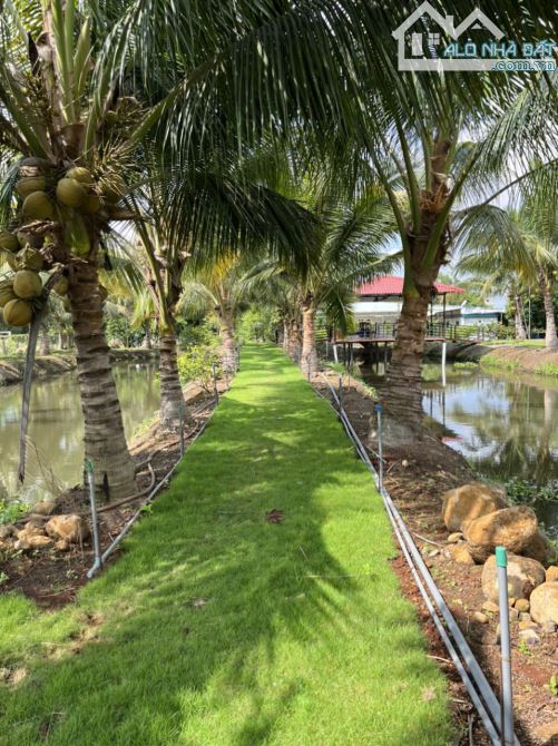 BÁN NHÀ VƯỜN VỚI AO CÁ VÀ VƯỜN TRÁI CÂY TUYỆT ĐẸP, VIEW RUỘNG LÚA, CÁCH BIỂN CHỈ 10 PHÚT - 5