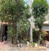 BÁN ĐẤT GIÁ CỰC RẺ ĐƯỜNG NGUYỄN HOÀNG NGHỊ, VÕ CƯỜNG, TP BẮC NINH