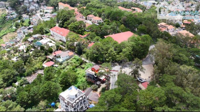 Bán đất LỚN giá RẺ Trần Quang Diệu phường 10 Đà Lạt view thung lũng vĩnh viễn