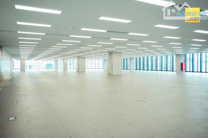 Cho thuê văn phòng khu Duy Tân, DT từ 100m2 - 600m2 giá 12$/m2/tháng.