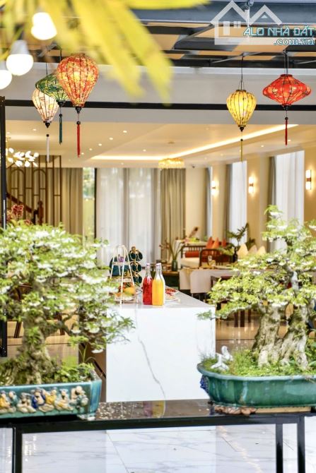 Biệt Thự Cao Cấp Cẩm Thanh - Hội An - 534m2 - Mt 7m - Nở Hậu - Dòng Tiền 100 Triệu - 18Tỷ5 - 6