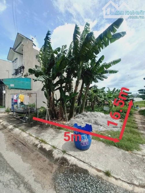 Lô đất đẹp, đường trải nhựa 7m, đường Nguyễn Ảnh Thủ, Hóc Môn, giá chỉ 4 tỷ - 1